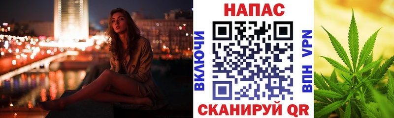 Конопля гибрид Ялуторовск